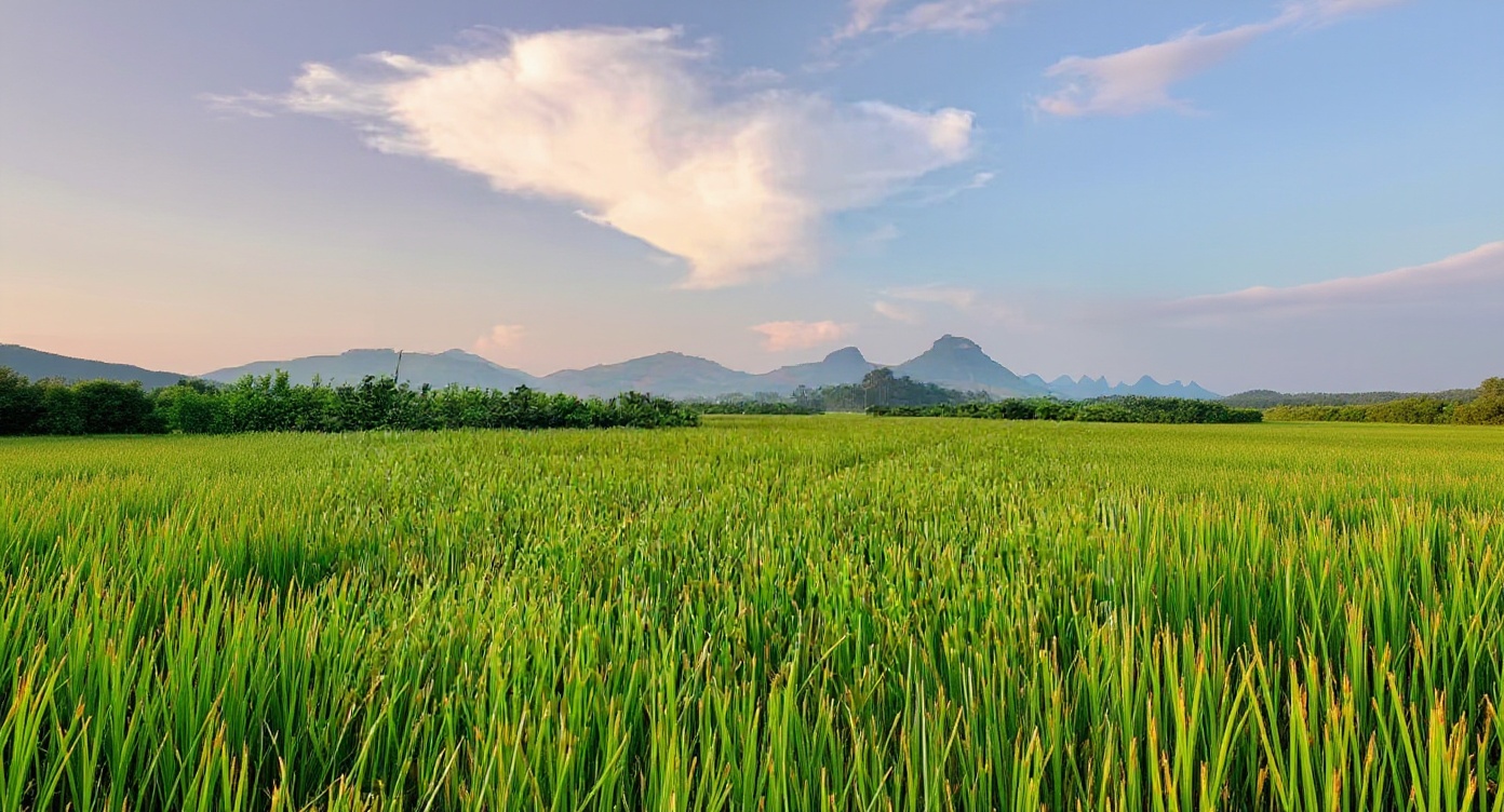 The image shows a landscape with a field of green grass in the foreground, mountains in the background, and a blue sky with clouds above. It's a peaceful and natural scene.